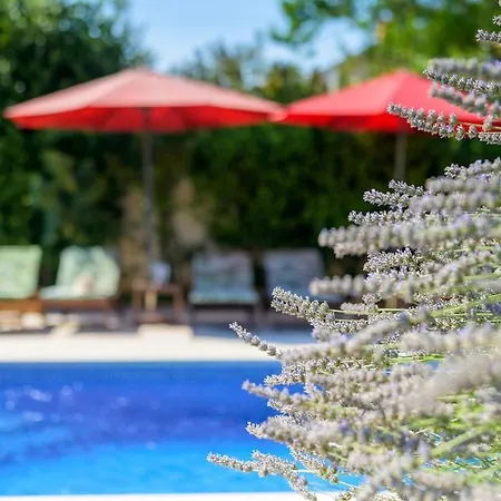 Eco Friendly With Pool In Villa